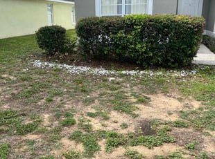 Bush Trimming by William Harvey for Anamaris R. in Davenport, FL