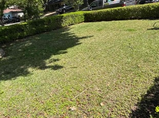 Leaf Removal by Brennen Dikes for Dennis O. in Arlington, TX