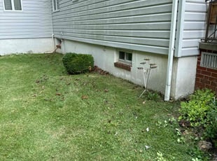 Bush Trimming by Rachel Lewis for Callandra E. in Nottingham, MD
