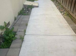Leaf Removal by sanchez bernardo for Venessa B. in San Jose, CA