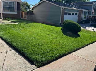 Maurice G.'s Lawn Service service result