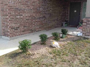 Bush Trimming by Mark Carrizales for Kimberly P. in San Antonio, TX
