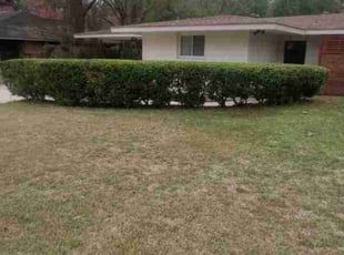 Bush Trimming by Wisdom Adikema for Travis D. in Baton Rouge, LA