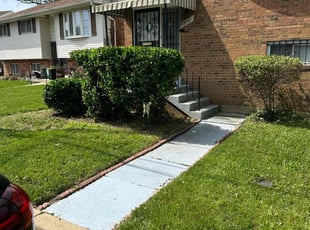 Bush Trimming by Norman Blanchard for TyReisha P. in Washington, DC