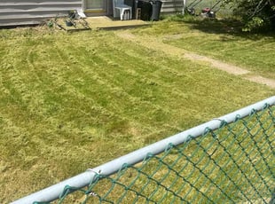 Matthew J.'s Yard Cutting service result