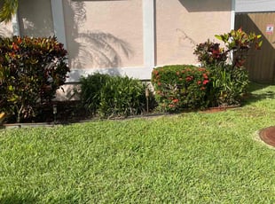 Bush Trimming by Mariano Arroyo Cisneros for Frank C. in Port St. Lucie, FL