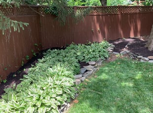 Mulching by Jose M Rodriguez for Bill K. in Arlington, VA