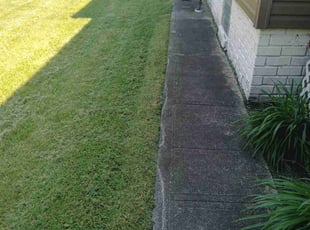 Antonio W.'s Lawn Service service result