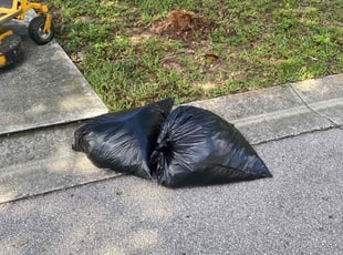 Leaf Removal by Jason Still for Mike J. in Davenport, FL