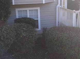 Bush Trimming by Joshua Boyd for Shan T. in Douglasville, GA