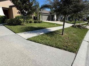 Anne L.'s Lawn Service service result