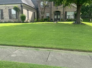 Heidi R.'s Lawn Care service result