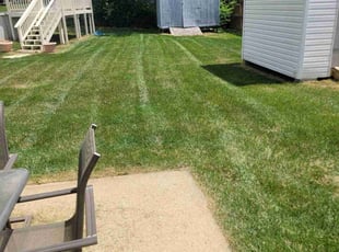 John A.'s Grass Cutting service result