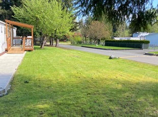 Tonya E.'s Lawn Service service result