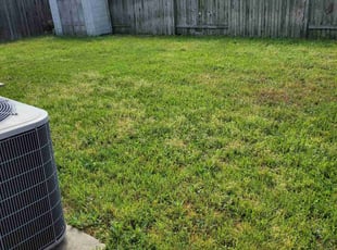 Leaf Removal by Gladis Carcamo for JACOB K. in Katy, TX