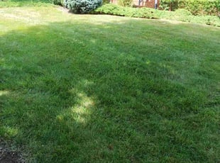 Becky S.'s Lawn Care service result
