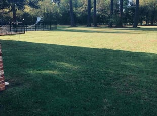 Abigayle S.'s Lawn Service service result