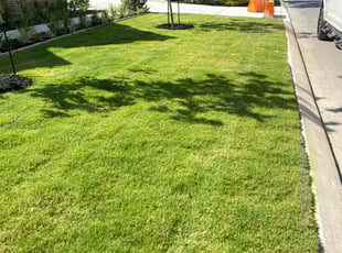 Hunter M.'s Lawn Mowing service result