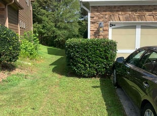 Bush Trimming by Zantonio Stewart for Myya M. in Douglasville, GA