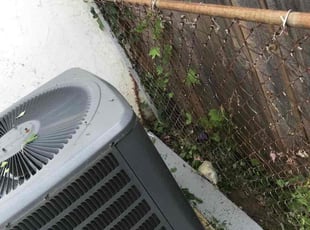Cleanups by Tushar Rawat for James W. in Fairfax, VA
