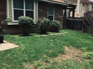 Bush Trimming by Chaes Pate for Monica B. in San Antonio, TX
