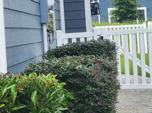 Bush Trimming by Anthony Beamon for Quarry H. in Chesapeake, VA