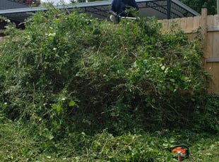 Bush Trimming by Lonnie West for Michael G. in Nashville, TN