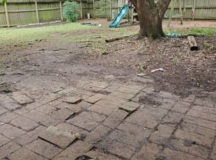 Cleanups by Jose Perez for Nikki B. in Houston, TX