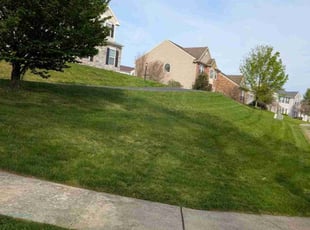 Thomas R.'s Lawn Mowing service result
