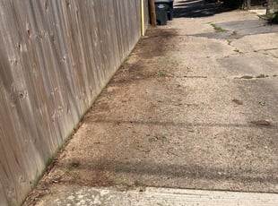 Leaf Removal by Noah Lee Davidson III for Brigette C. in Washington, DC