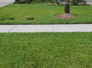 Linda D.'s Lawn Mowing service result