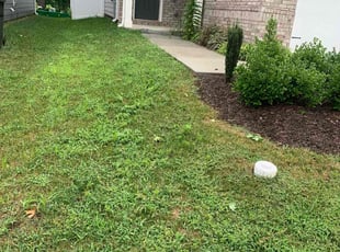 Jordan B.'s Cleanups service result