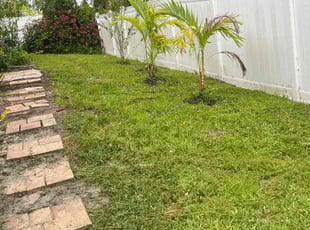 Tan H.'s Lawn Mowing service result