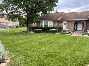 Brandy H.'s Grass Cutting service result