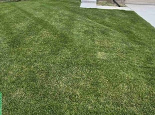 Maisoun H.'s Lawn Care service result