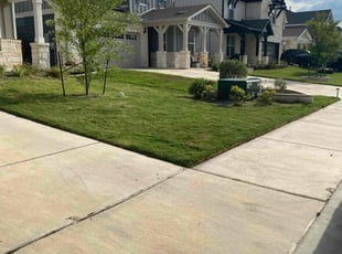 Joyce T.'s Lawn Care service result