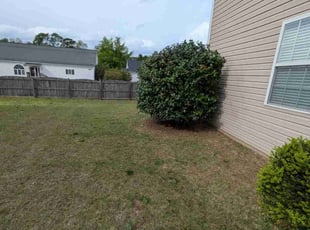 Bush Trimming by Steven Baskin for Paul S. in Lexington, SC