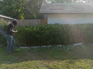 Bush Trimming by Marvel Carmichael for Christina G. in Casselberry, FL