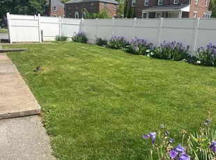 LILLETH B.'s Lawn Service service result