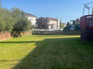 Tiffany A.'s Lawn Service service result