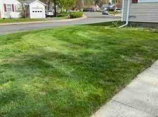 Letisha B.'s Lawn Service service result