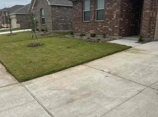 Angelic K.'s Yard Cutting service result