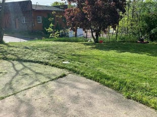 Josephine C.'s Lawn Care service result