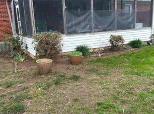 Bush Trimming by Susy Mia Nieto for Scott M. in New Castle, DE