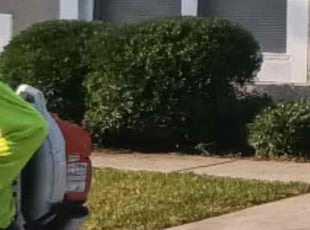 Bush Trimming by James Ramey for Frances H. in Kissimmee, FL