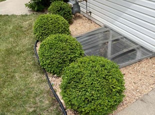 Mulching by Derran Parkinson for Josephine G. in Shorewood, WI