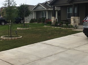 Bush Trimming by Gavino Salgado for Rick S. in Hutto, TX