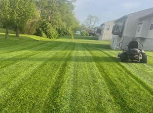 Bush Trimming by Jose Maltos for Sonia D. in Cincinnati, OH