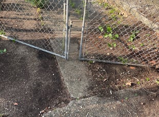 Leaf Removal by Jarell Tucker for ROBERTA J. in Washington, DC