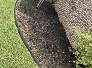 Weeding by Brennen Dikes for jimmy m. in Burleson, TX